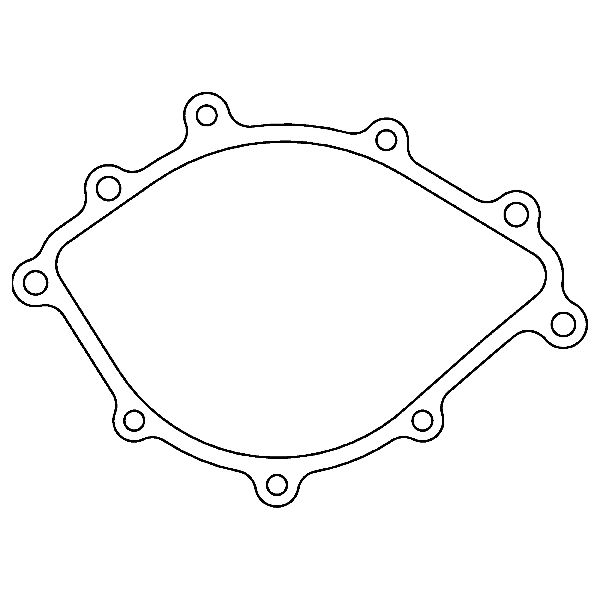 1980 Lincoln Continental Engine Water Pump Backing Plate Gasket (Cometic Gasket)
