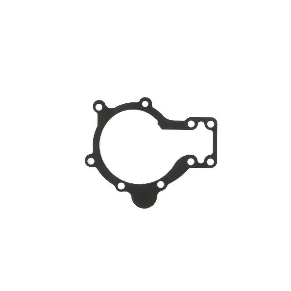 1970-1971 Jaguar XJ Engine Water Pump Gasket (Cometic Gasket)