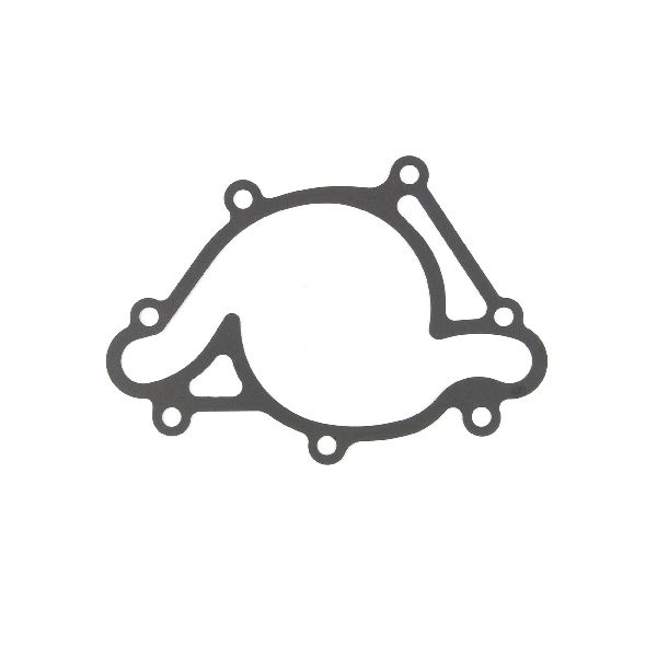 1998-2003 Dodge Durango Engine Water Pump Gasket (Cometic Gasket)