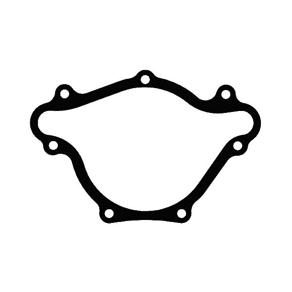 1978-1979 Dodge Magnum Engine Water Pump Mounting Gasket (Cometic Gasket)