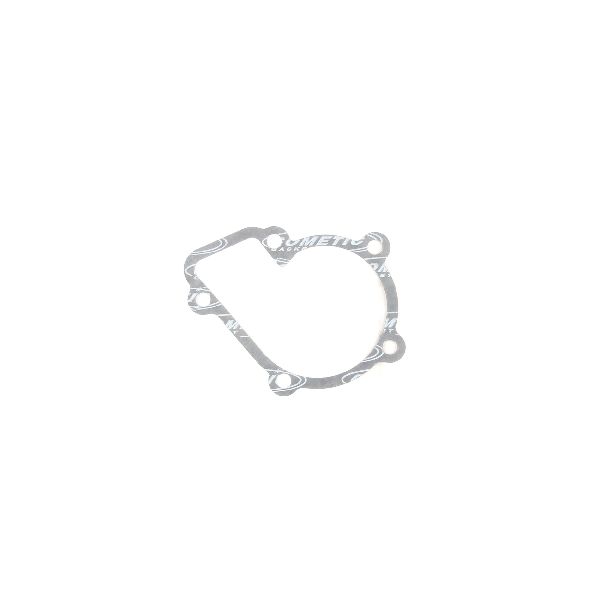 1991-1998 Nissan 240SX Engine Water Pump Gasket (Cometic Gasket)