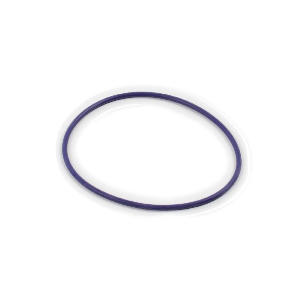 2003-2005 Lincoln Aviator Engine Water Pump O-Ring (Cometic Gasket)