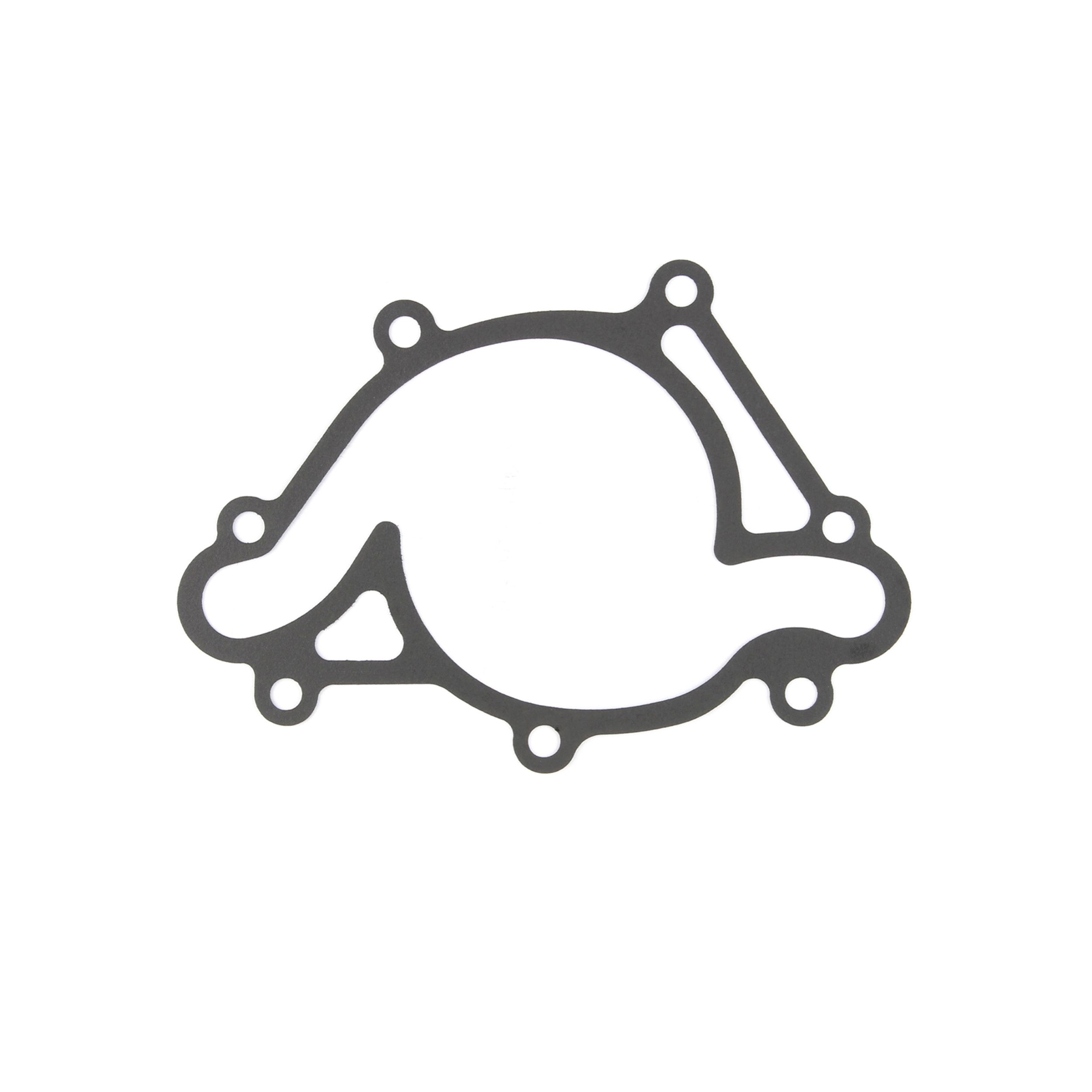 2003, 2002, 2001, 2000, 1999, 1998 Dodge Durango Engine Water Pump Gasket