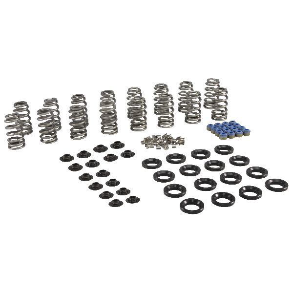 2009-2018 Chrysler 300 Engine Valve Spring Kit (COMP Cams)