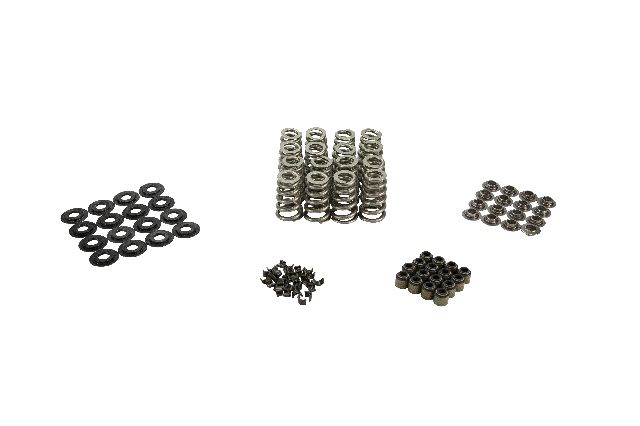 2015-2016 Chevrolet Suburban Engine Valve Spring Kit (COMP Cams)