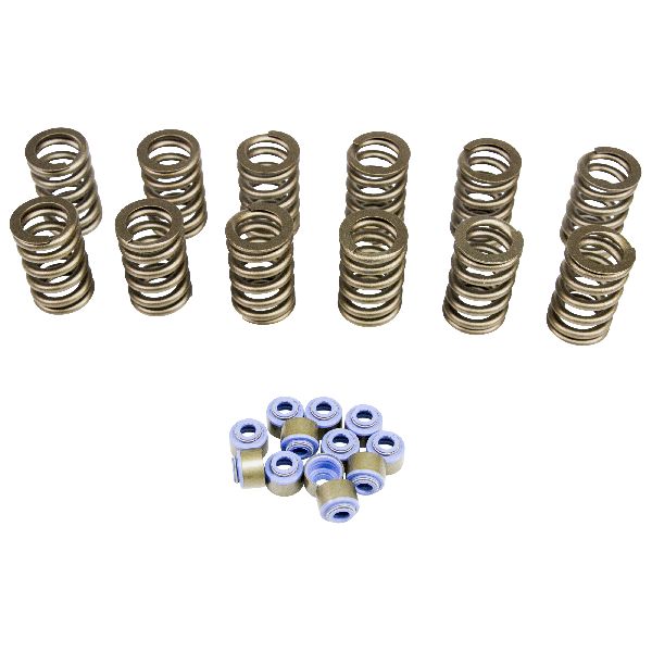1993-2004 Jeep Grand Cherokee Engine Valve Spring Kit (COMP Cams)