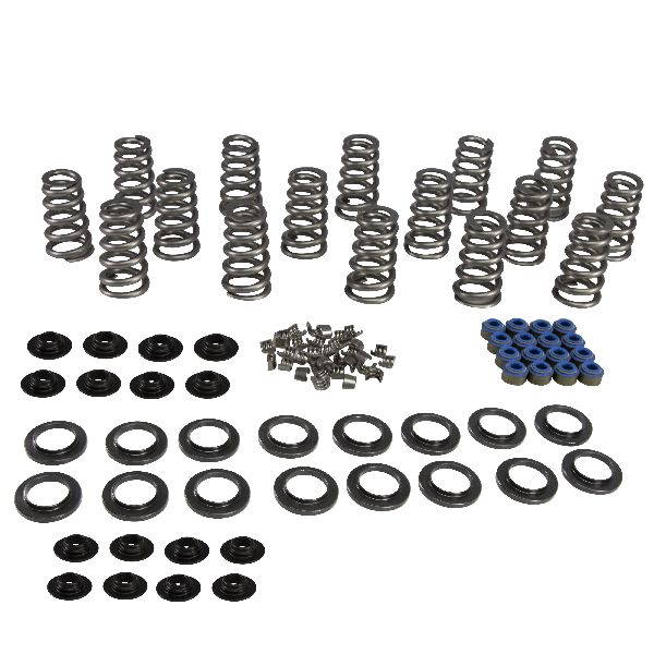 2009-2018 Chrysler 300 Engine Valve Spring Kit (COMP Cams)