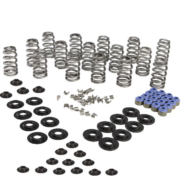 2005-2010 Chrysler 300 Engine Valve Spring Kit (COMP Cams)