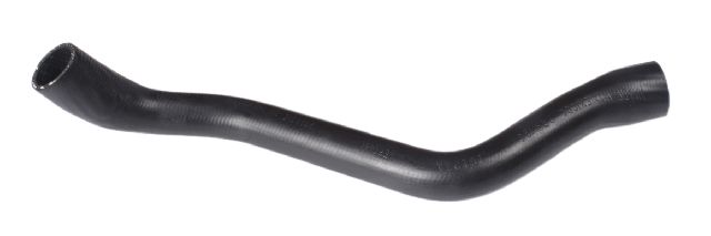 2002-2006 Nissan Altima Radiator Coolant Hose - Lower (Continental)
