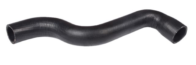 1982-1985 Buick Century Radiator Coolant Hose - Upper (Continental)