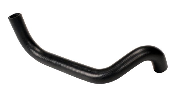1997-2001 Lexus ES300 Radiator Coolant Hose - Lower (Continental)