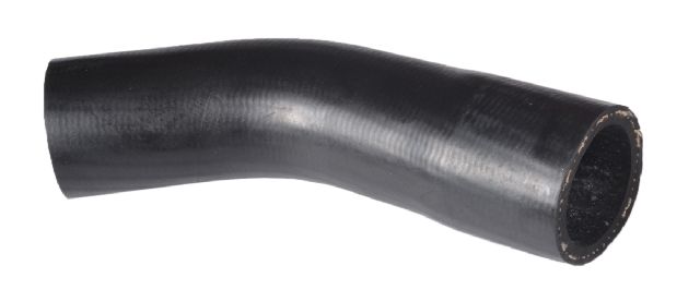 1996-1997 Lexus LX450 Radiator Coolant Hose - Lower - Engine To Pipe (Continental)