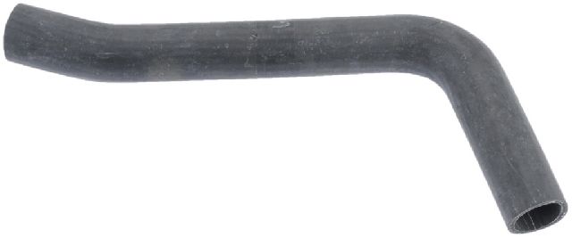 2004 Pontiac GTO Radiator Coolant Hose - Lower - Pipe To Radiator (Continental)