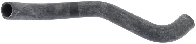 1998-2002 Ford Crown Victoria Radiator Coolant Hose - Upper (Continental)