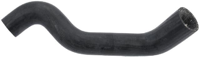 1997-2003 Pontiac Grand Prix Radiator Coolant Hose - Lower (Continental)