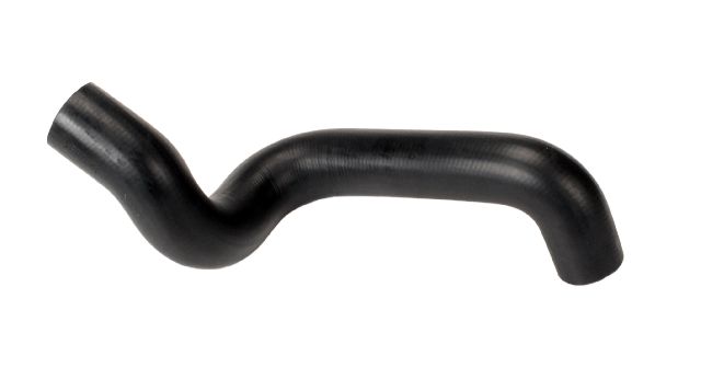 1992-2003 Pontiac Grand Prix Radiator Coolant Hose - Lower (Continental)