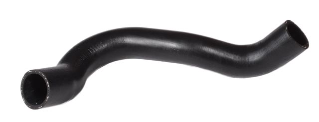 1981 Buick Century Radiator Coolant Hose - Lower (Continental)