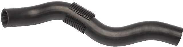 2020-2025 Honda Ridgeline Radiator Coolant Hose - Upper (Continental)