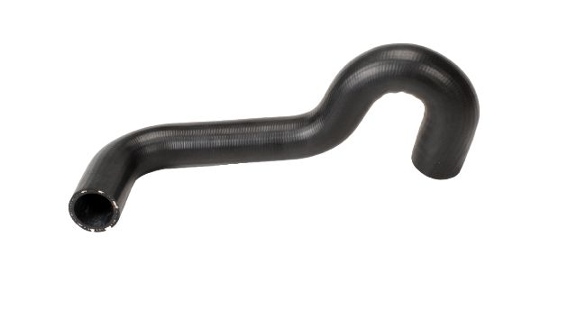 1999-2004 Nissan Frontier Radiator Coolant Hose - Lower - Pipe To Radiator (Continental)