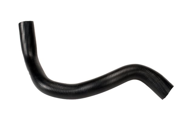 2004-2008 Acura TSX Radiator Coolant Hose - Lower (Continental)