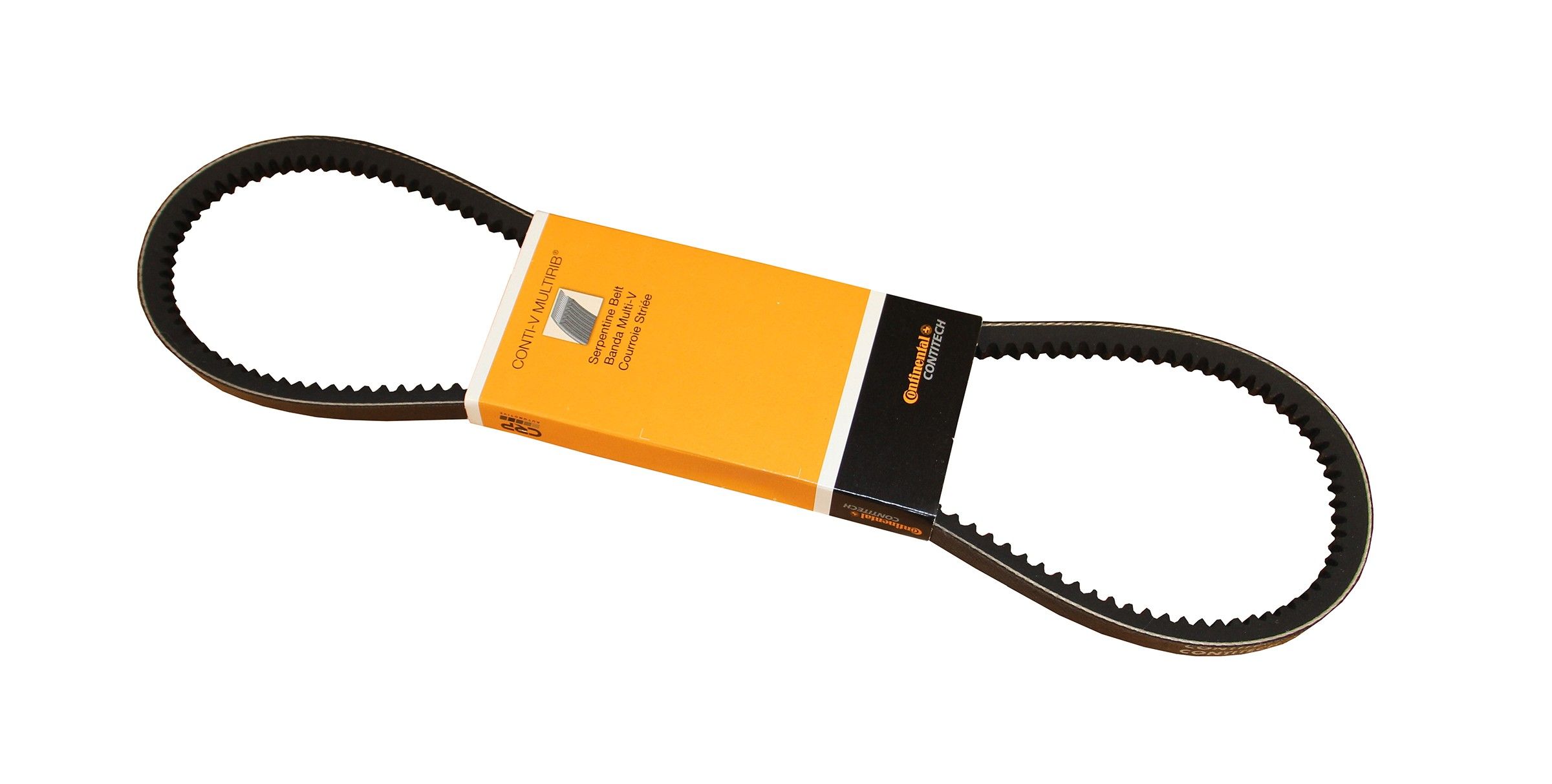 1996, 1995, 1994, 1993, 1992 Jaguar XJS Accessory Drive Belt