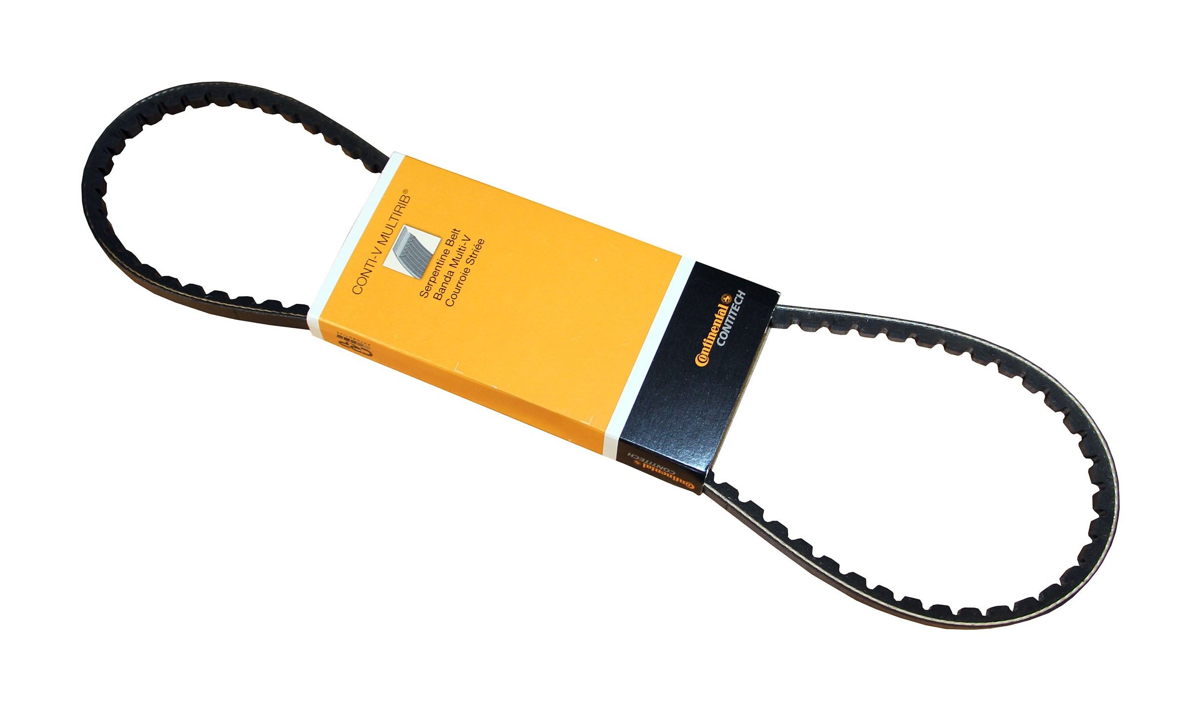 1987, 1986 BMW L7 Accessory Drive Belt