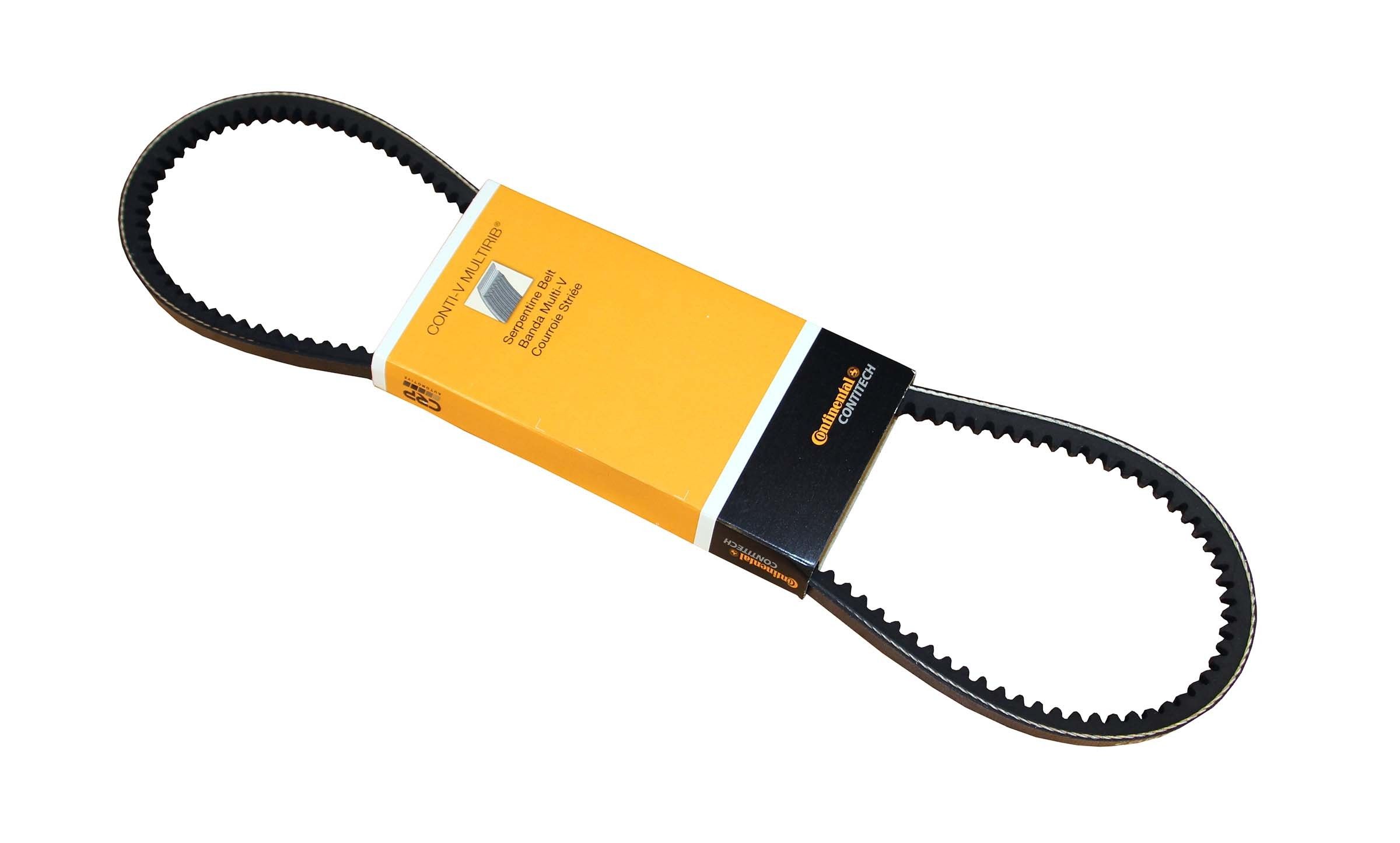 1989, 1988, 1987, 1986, 1985 BMW 635CSi Accessory Drive Belt