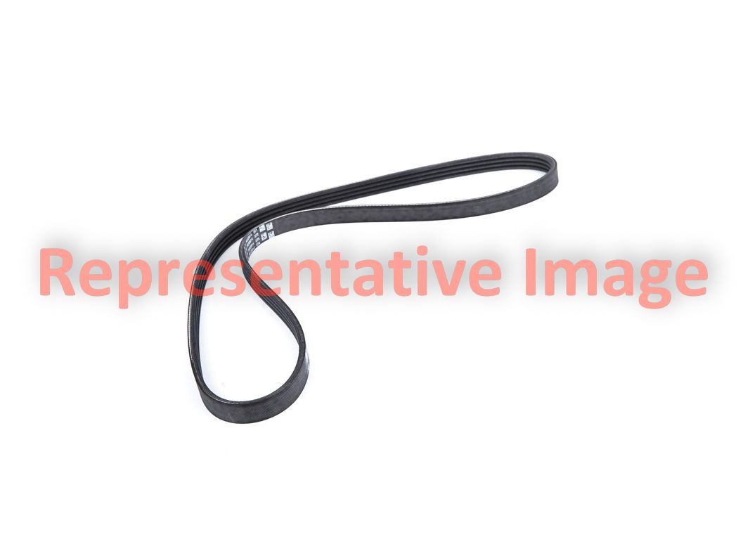 1986, 1985, 1984, 1983 GMC S15 Serpentine Belt