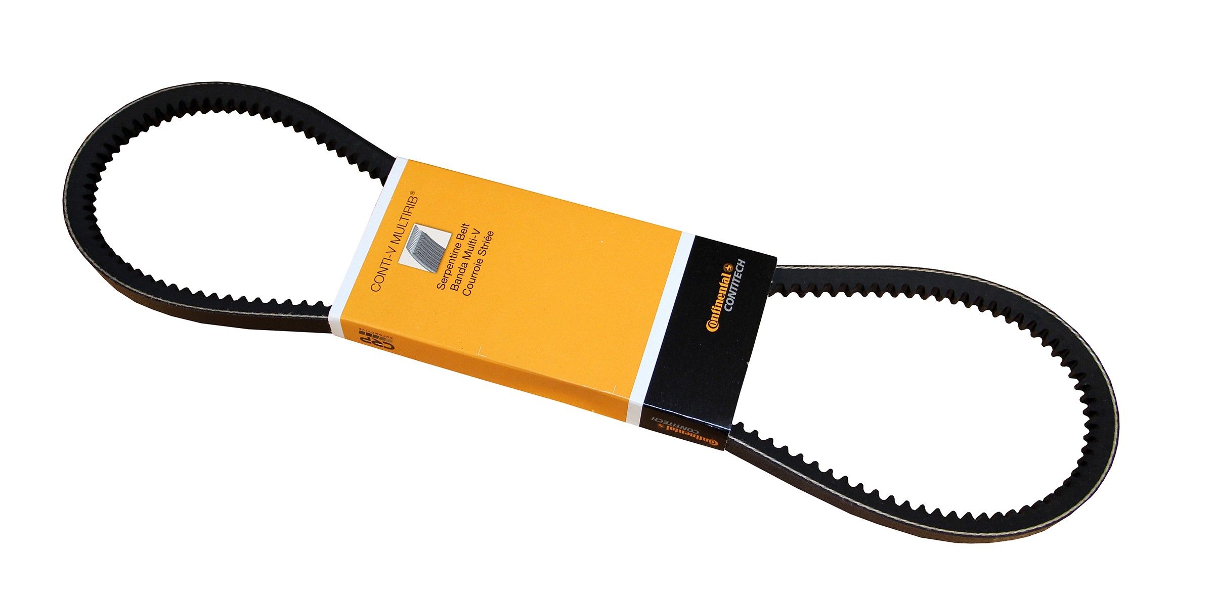 1989, 1988 Isuzu Impulse Accessory Drive Belt