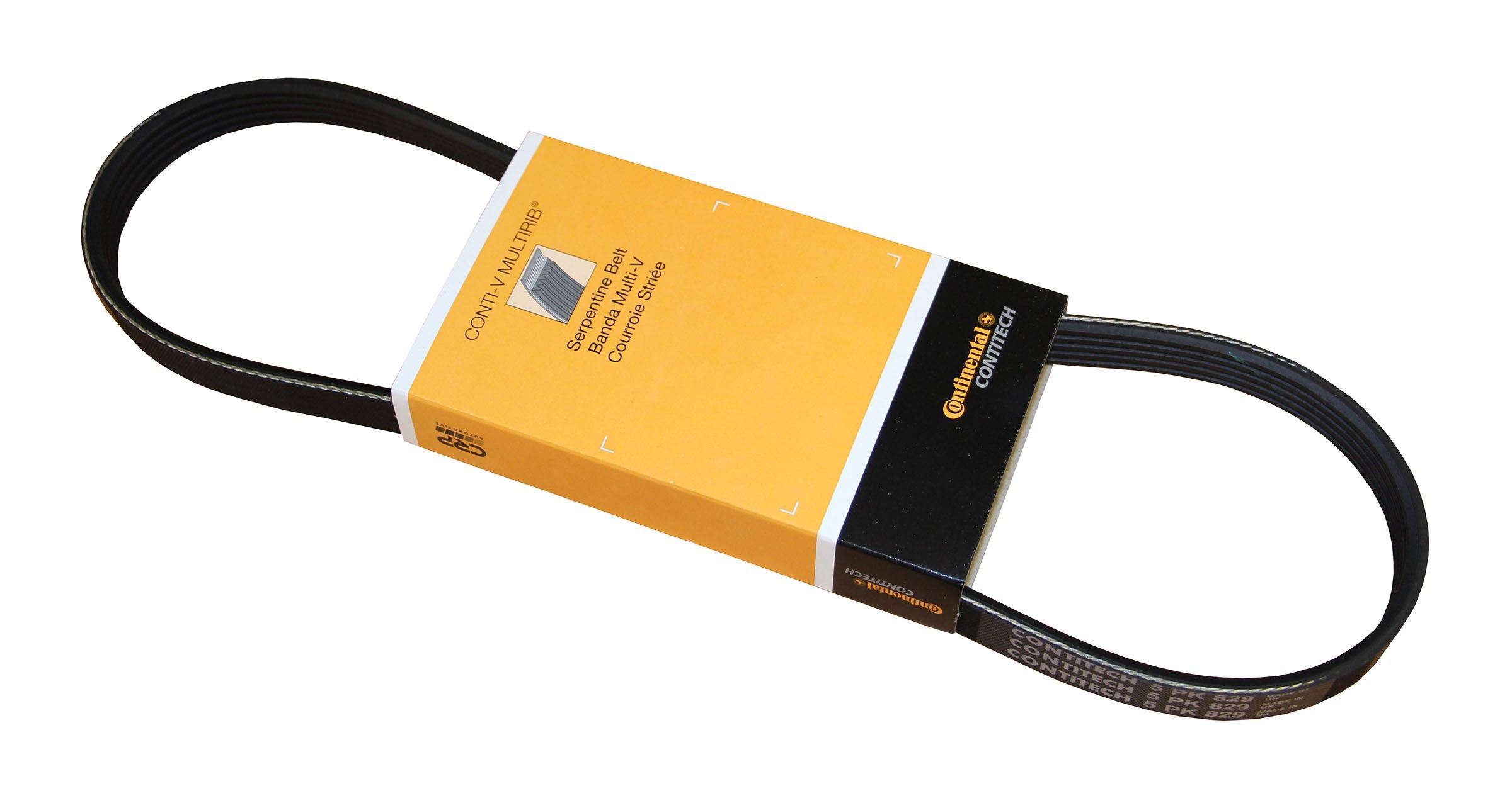 2006-2008 BMW M3 Serpentine Belt Continental