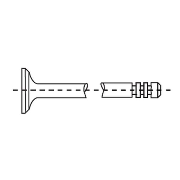 1987 Volkswagen Golf Engine Intake Valve (Corteco)