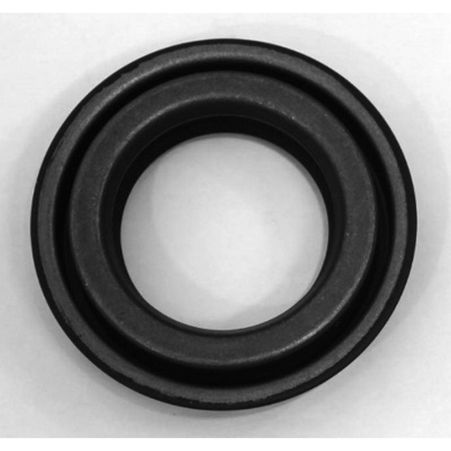 2007, 2006, 2005, 2004, 2003, 2002 Mini Cooper Differential Seal