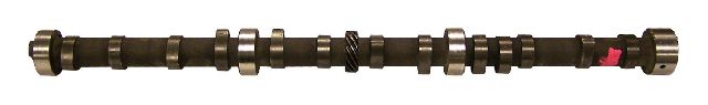 1991-1995 Jeep Wrangler Engine Camshaft (Crown Automotive)