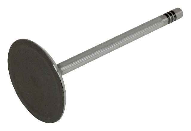 2008-2009 Dodge Durango Engine Intake Valve (Crown Automotive)