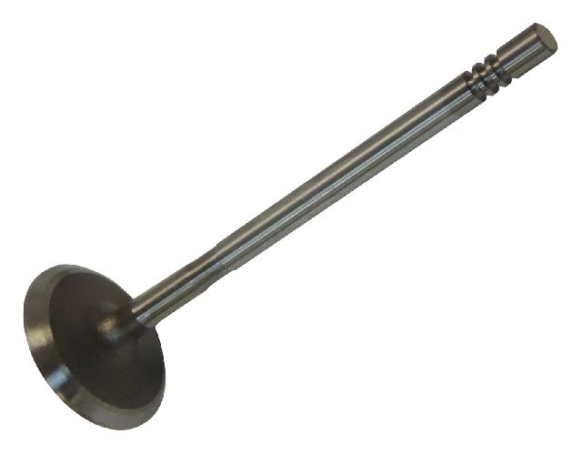 2001-2007 Dodge Caravan Engine Intake Valve (Crown Automotive)