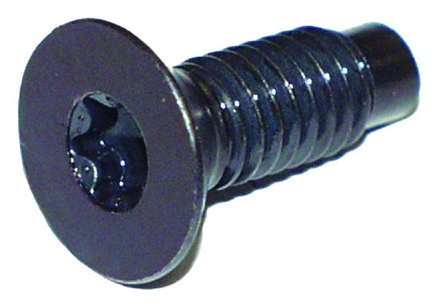 1987-1995 Jeep Wrangler Windshield Hinge Screw (Crown Automotive)