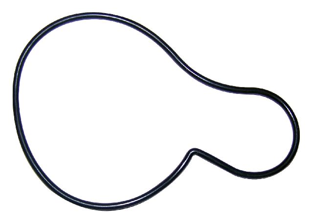 2002-2005 Jeep Liberty Engine Water Pump Seal (Crown Automotive)