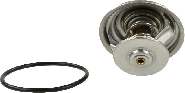 1994-1999 Mercedes-Benz S320 Engine Coolant Thermostat (CRP)
