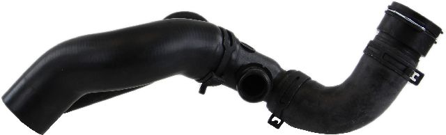 1999-2002 Volkswagen Golf Radiator Coolant Hose - Upper - Main Radiator (CRP)