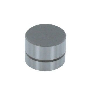 1992-1995 BMW 320i Engine Valve Lifter (CRP)
