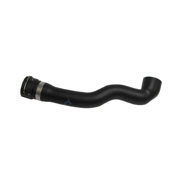1999-2002 BMW Z3 Radiator Coolant Hose - Upper - Thermostat To Radiator (CRP)