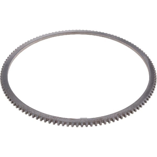 2003-2009 Chevrolet Express 2500 ABS Wheel Speed Sensor Tone Ring - Rear (Dana Spicer Chassis)
