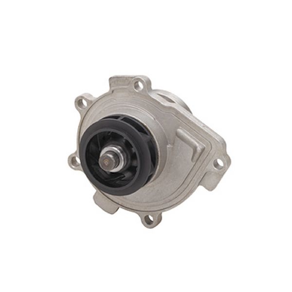 2009-2011 Chevrolet Aveo Engine Water Pump (Dayco)