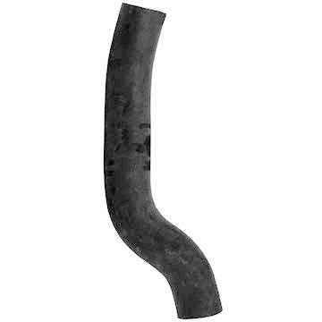 2009-2010 Dodge Ram 1500 Radiator Coolant Hose - Lower (Dayco)