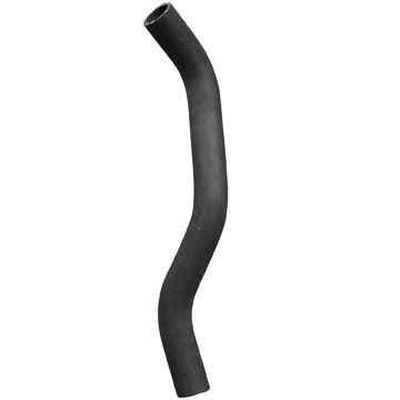 2007-2010 Hyundai Entourage Radiator Coolant Hose - Lower (Dayco)