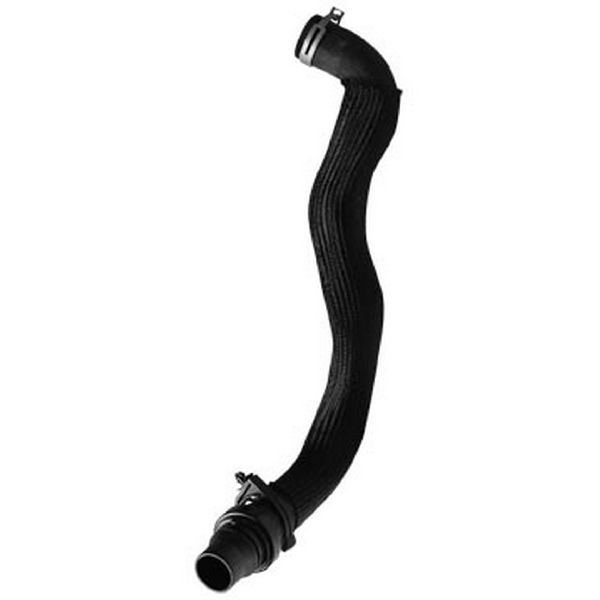 2008-2010 Ford F-350 Super Duty Radiator Coolant Hose - Lower - Pipe To Engine (Dayco)