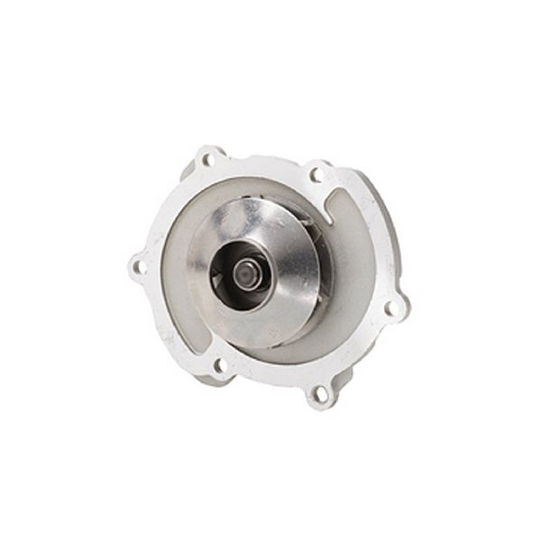 2008-2017 Chevrolet Equinox Engine Water Pump (Dayco)