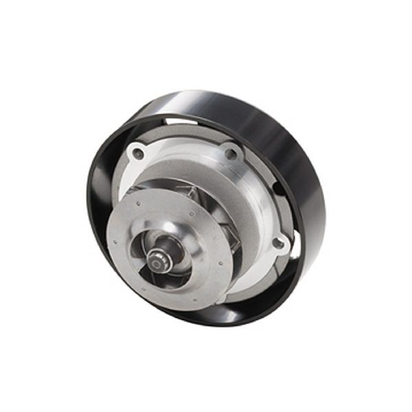 2006-2007 Chevrolet Monte Carlo Engine Water Pump (Dayco)