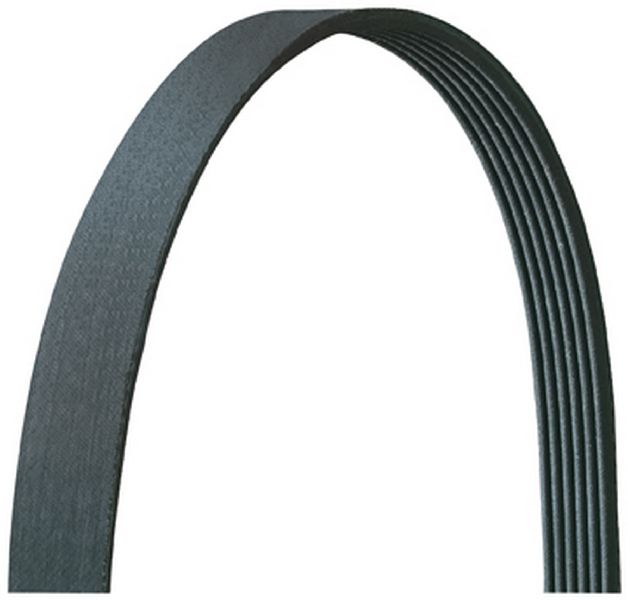 2007-2009 Mazda 3 Serpentine Belt - Main Drive (Dayco)