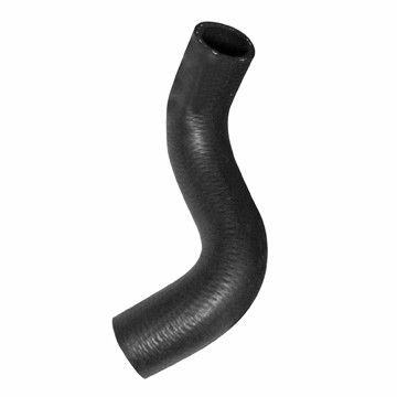 2009-2010 Pontiac G3 Radiator Coolant Hose - Lower (Dayco)